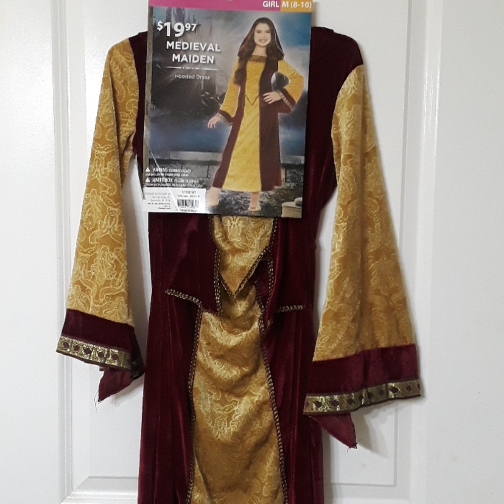 Medieval Maiden Costume
